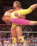 Ultimate Warrior21