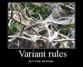 MP variant rules.jpg