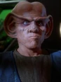 Mirror Quark.jpg