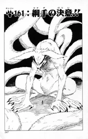 Chapter 161