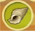 Conch.jpg