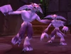 Homunculus