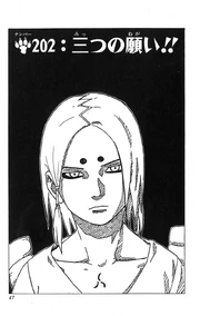 Chapter 202