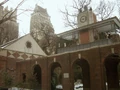 Central-park-zoo1.jpg