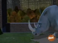 Rhino-001.JPG