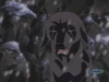 BatAnime