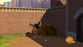 Ostrich-001.JPG