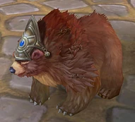 Pet bear 01