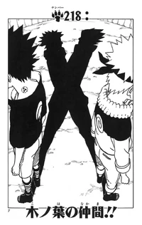 Chapter 218