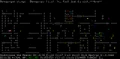 NetHack Demogorgon.png
