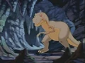 Redclaw.jpg