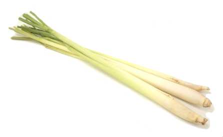 Yonquis del picante - Página 2 Lemon_grass