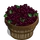 Elderberry Bushel-icon