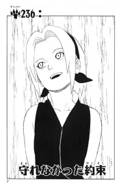 Chapter 236