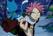 Natsu and Happy's Fairy Tail mark