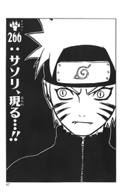 Chapter 266