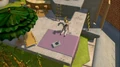 Lemur-008b.JPG