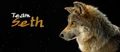 Team-Seth-twilight-series-7570858-934-407