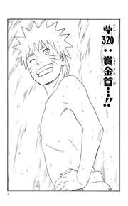Chapter 320