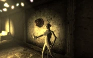 Dukov's Venus