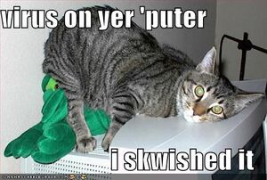 Funny-pictures-virus-cat