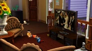 Tv gnomes