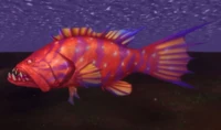 Image of Cragjaw