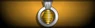 Sleeve insignia.