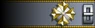 Sleeve insignia.