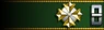 Sleeve insignia.