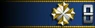 Shoulder insignia.