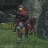Hologram in Reach RvB
