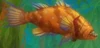 Glittergill Grouper