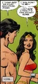 Wonder Woman Distant Fires