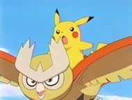 EP204 pikachu y Noctowl