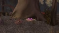 Dart's Nest.jpg