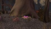 Dart's Nest
