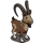 Ibex