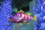 Luxscale Grouper