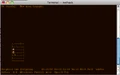 Macosxterminal.png