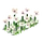 White Flowers-icon.png