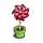 Rose Pinwheel-icon