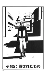 Chapter 405