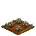 Edelweiss withered