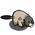 Marmot-icon
