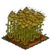 Rye 100