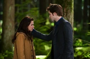New moon34