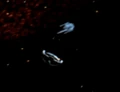 Oberth class, first contact.jpg