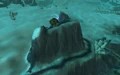 The Wicked Coil.jpg