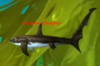 Image of Ravenous Thresher